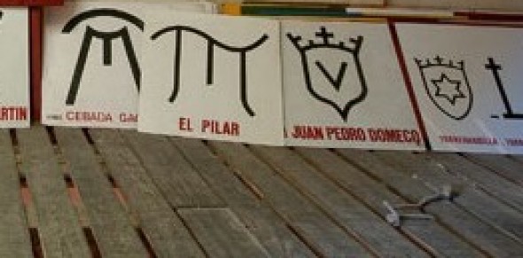 Imagen de Corridas de toros San fermin 2014